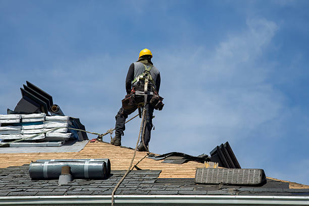 Professional Roofing technician working in Cecil, WI